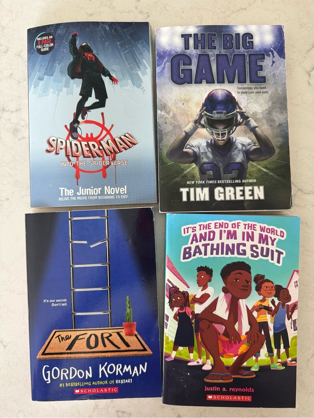 Chapter Book Lot
